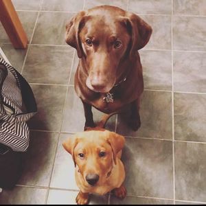 Meet your Posher, Nicholas